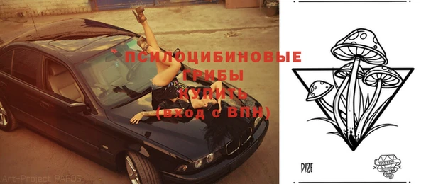 спиды Володарск