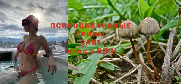 ешки Сафоново