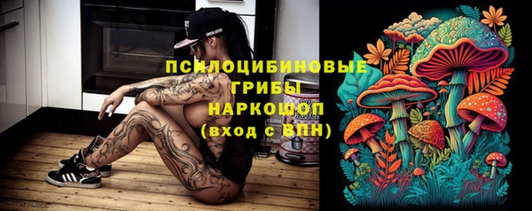 мдпв Волоколамск